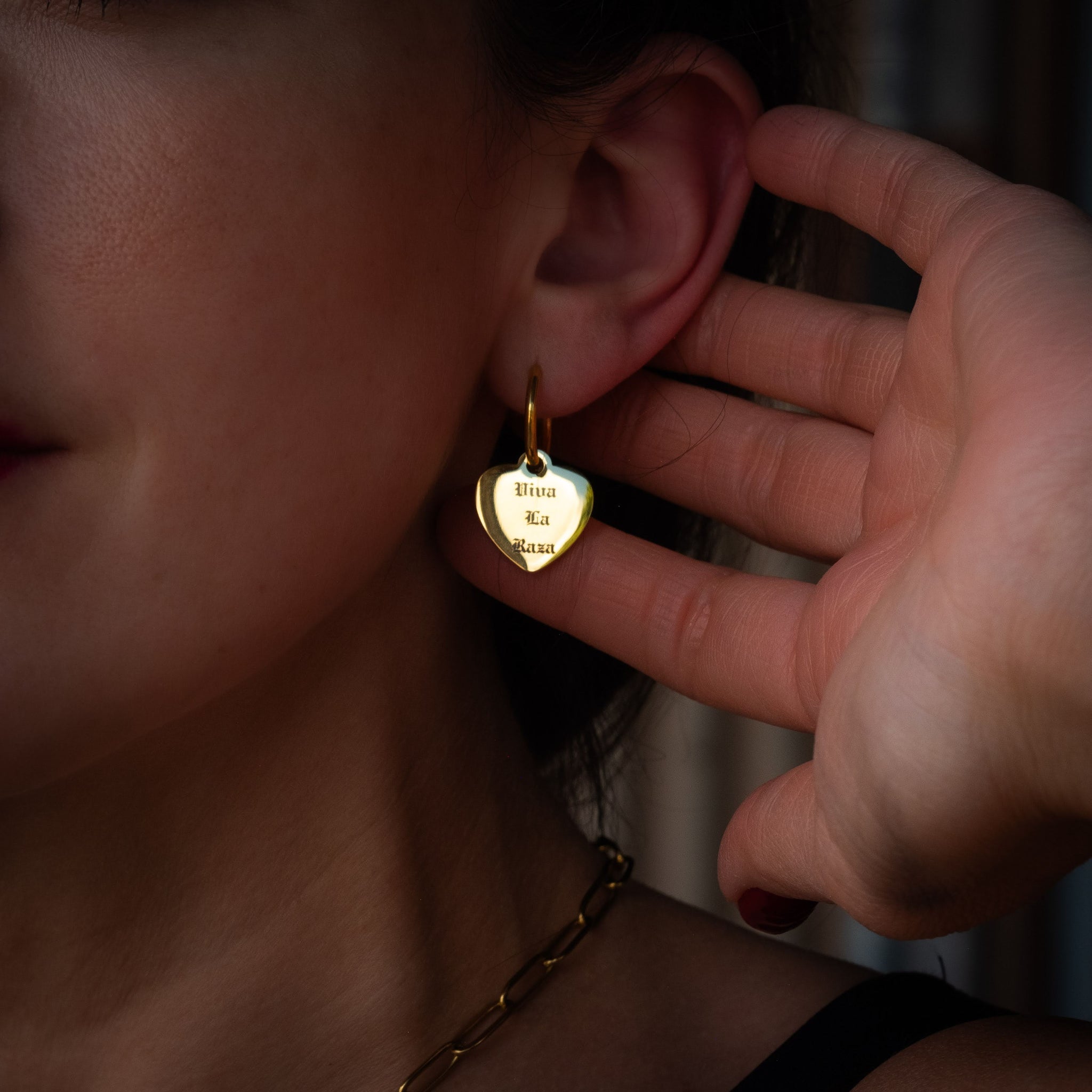 Viva La Raza Earrings