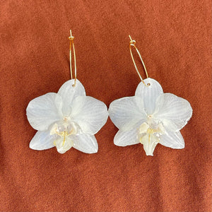 Baby White Orchid Earrings