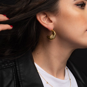 Shell Gold Hoops